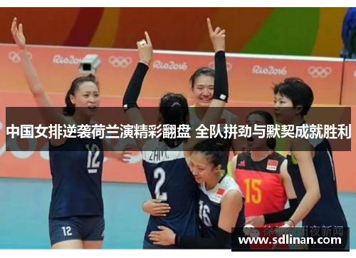 中国女排逆袭荷兰演精彩翻盘 全队拼劲与默契成就胜利