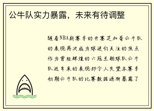公牛队实力暴露，未来有待调整